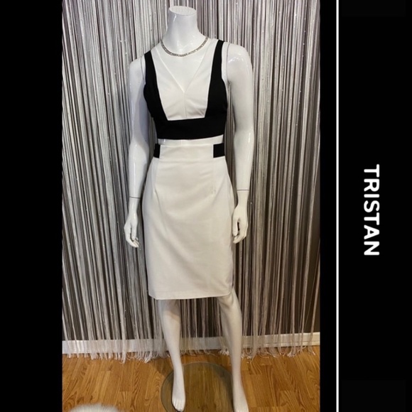 Tristan Dresses & Skirts - 🔻SALE🔻TRISTAN🔹EXCELLENT CONDITION